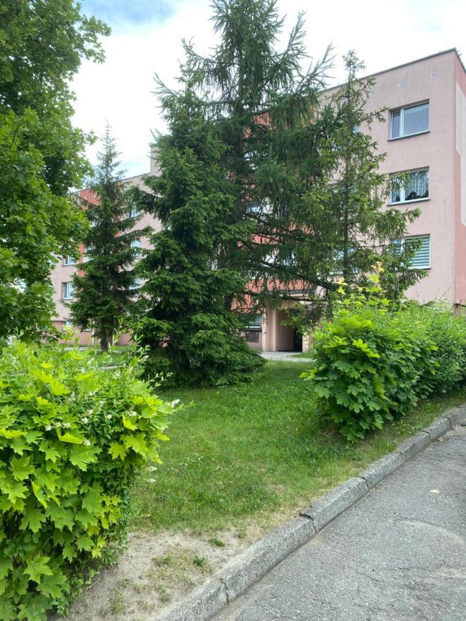 Zb Apartment Beige Piekary Śląskie מראה חיצוני תמונה