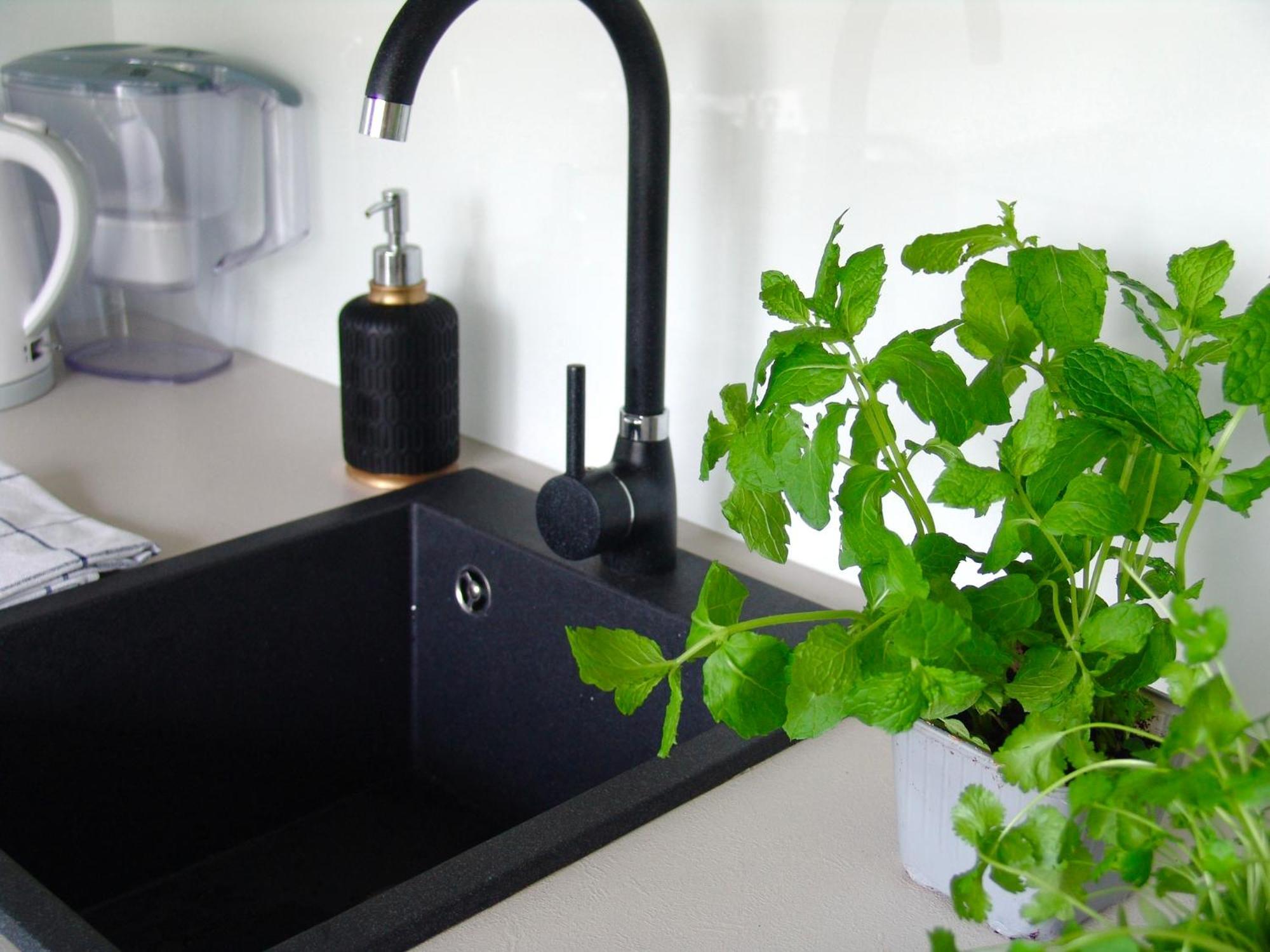 Zb Apartment Beige Piekary Śląskie מראה חיצוני תמונה